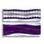 Vexoria | Boundless Bed Service 21 foot Mega Coil Daki - Body Pillow