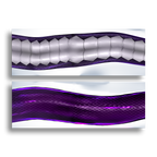 Vexoria | Boundless Bed Service 21 foot Mega Coil Daki - Body Pillow